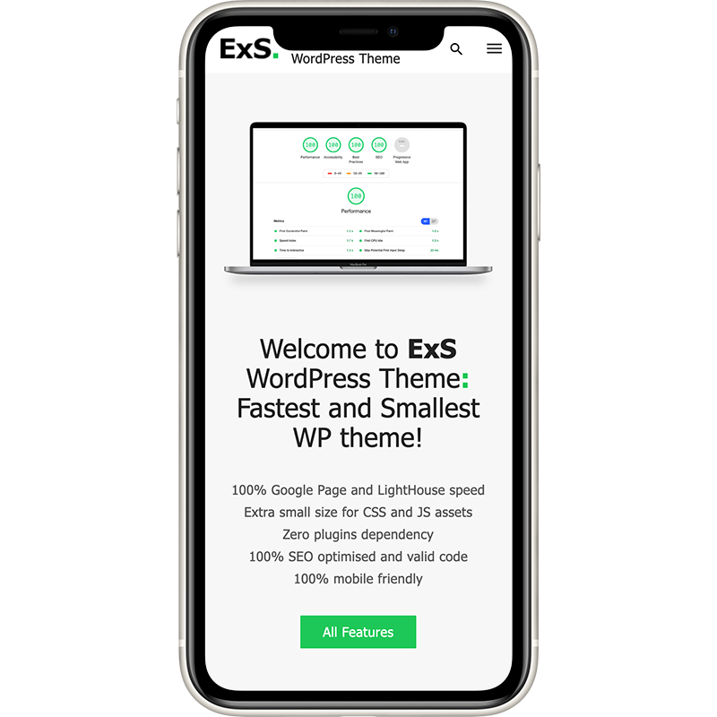ExS is fastest and smallest WordPress theme